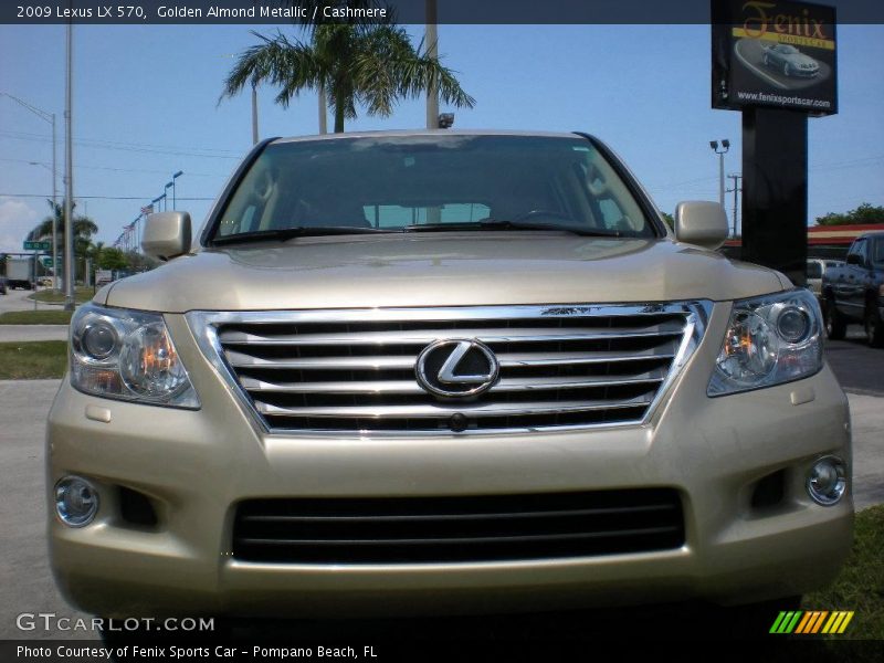 Golden Almond Metallic / Cashmere 2009 Lexus LX 570
