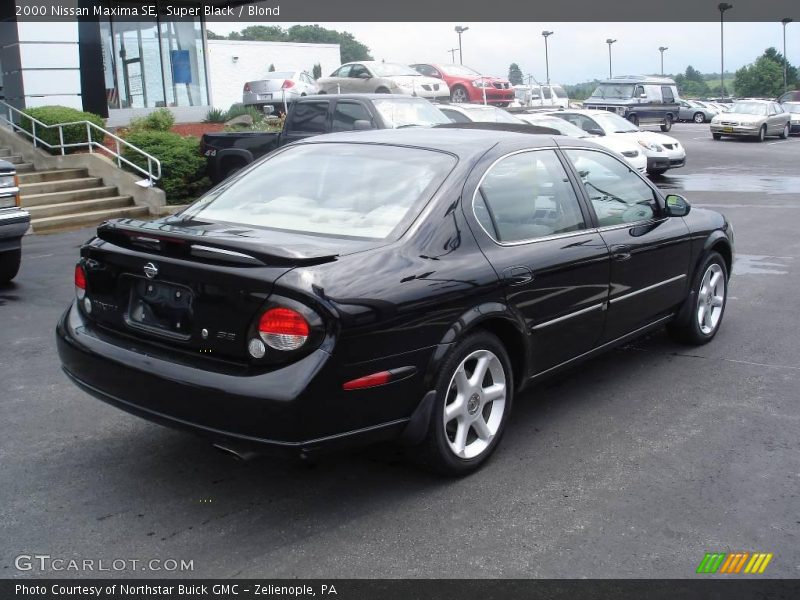 Super Black / Blond 2000 Nissan Maxima SE