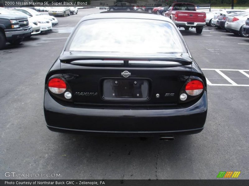 Super Black / Blond 2000 Nissan Maxima SE