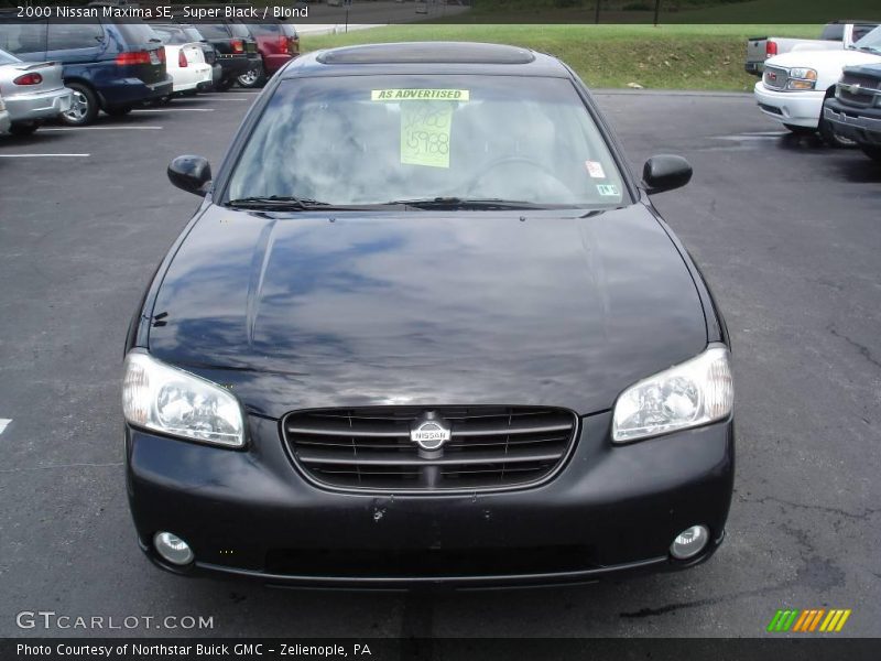 Super Black / Blond 2000 Nissan Maxima SE