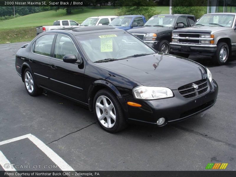 Super Black / Blond 2000 Nissan Maxima SE