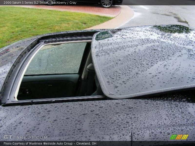 Blackberry / Gray 2000 Saturn S Series SL2 Sedan