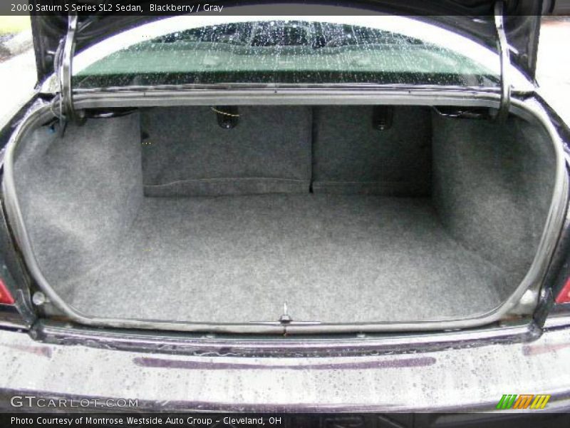 Blackberry / Gray 2000 Saturn S Series SL2 Sedan