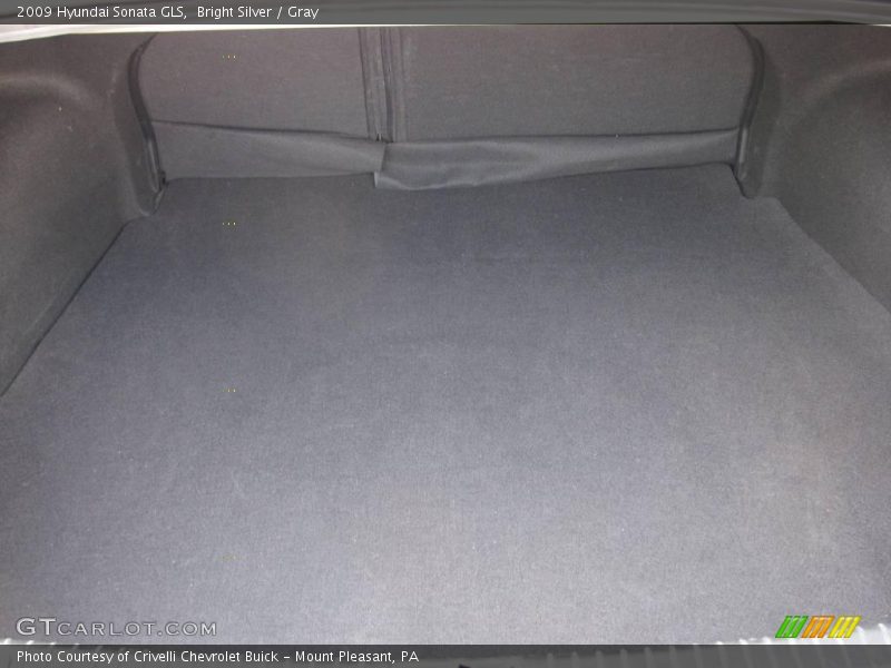 Bright Silver / Gray 2009 Hyundai Sonata GLS