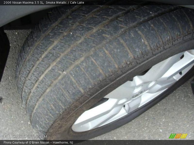 Smoke Metallic / Cafe Latte 2006 Nissan Maxima 3.5 SL