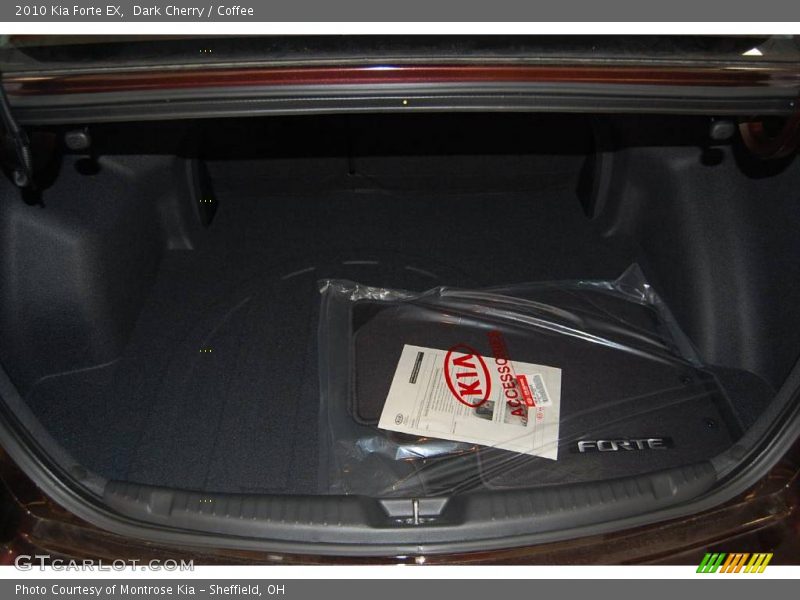 Dark Cherry / Coffee 2010 Kia Forte EX