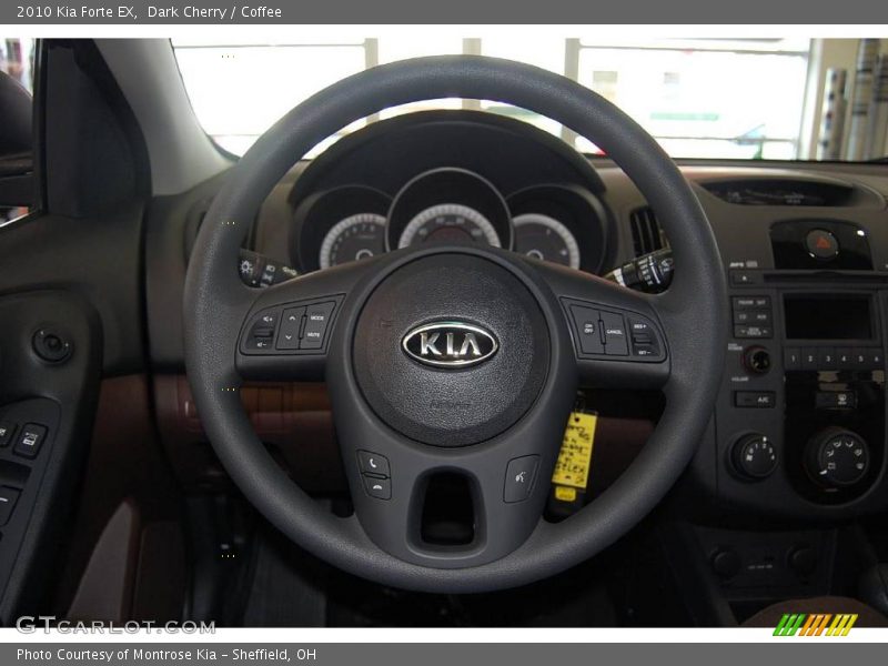 Dark Cherry / Coffee 2010 Kia Forte EX
