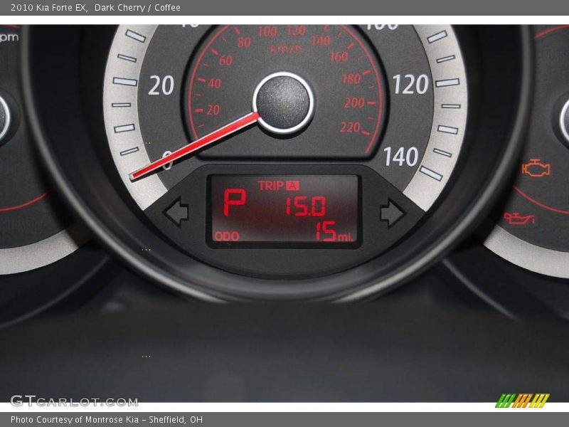 Dark Cherry / Coffee 2010 Kia Forte EX