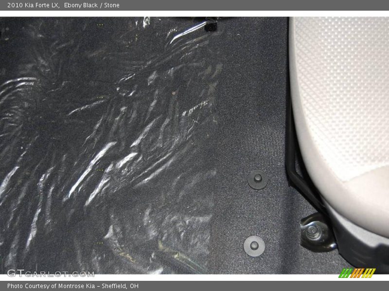 Ebony Black / Stone 2010 Kia Forte LX