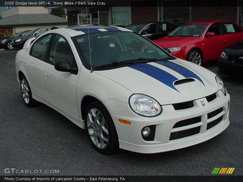 Stone White / Dark Slate Gray 2005 Dodge Neon SRT-4
