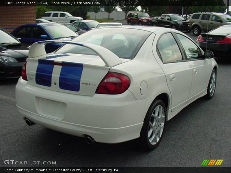 Stone White / Dark Slate Gray 2005 Dodge Neon SRT-4