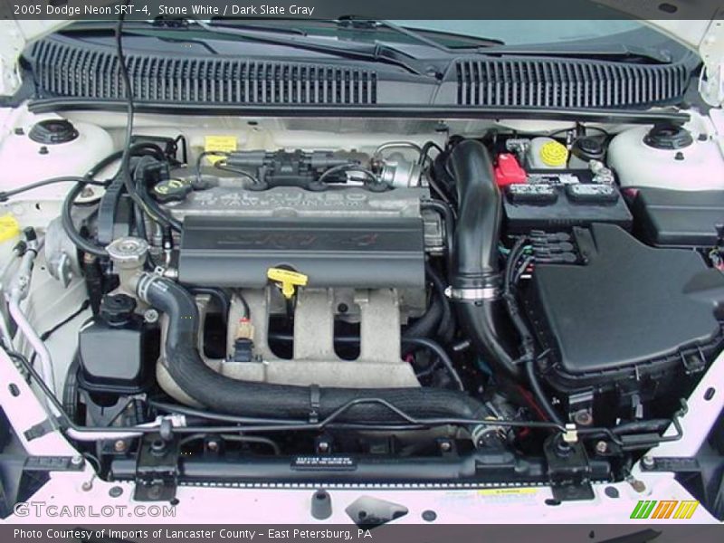 Stone White / Dark Slate Gray 2005 Dodge Neon SRT-4