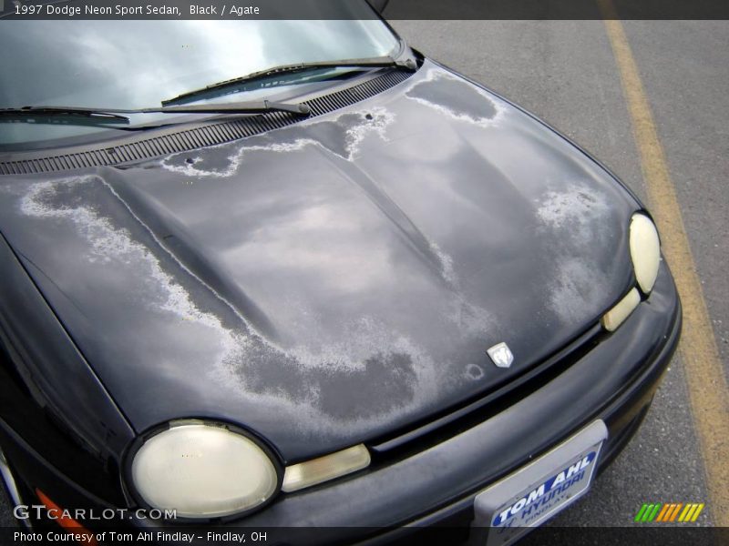 Black / Agate 1997 Dodge Neon Sport Sedan