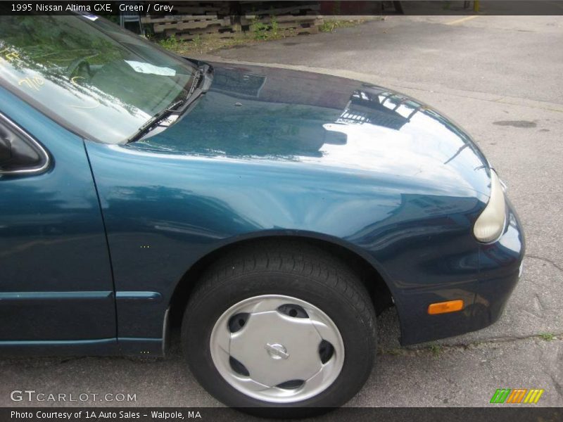Green / Grey 1995 Nissan Altima GXE