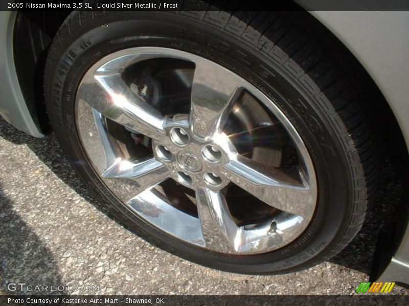 Liquid Silver Metallic / Frost 2005 Nissan Maxima 3.5 SL