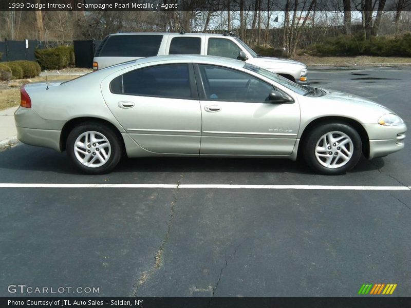 Champagne Pearl Metallic / Agate 1999 Dodge Intrepid