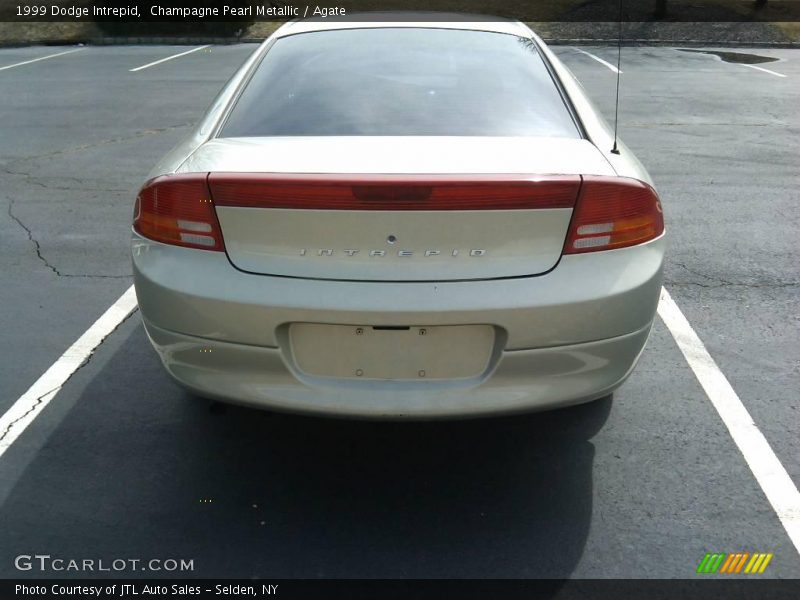 Champagne Pearl Metallic / Agate 1999 Dodge Intrepid