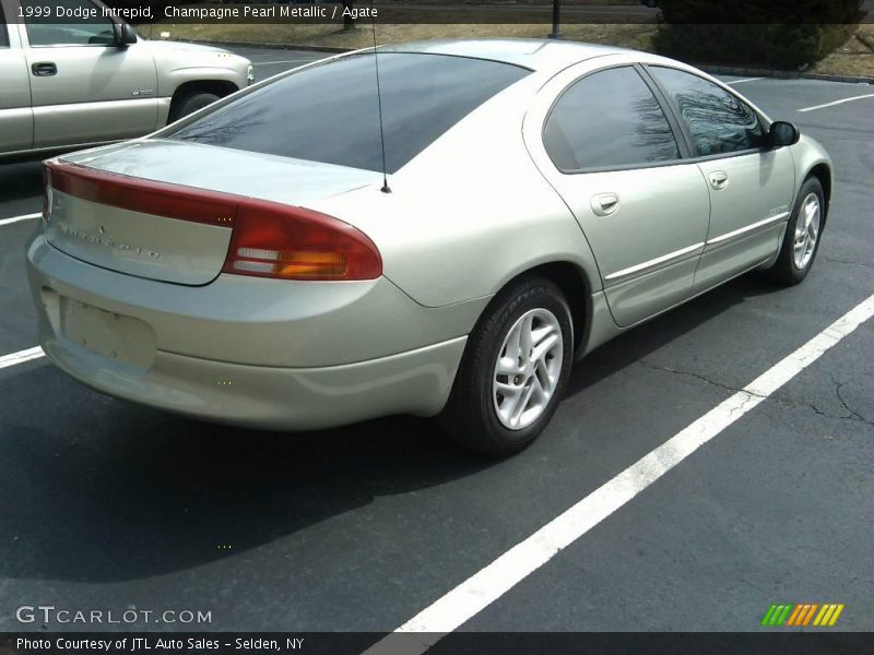 Champagne Pearl Metallic / Agate 1999 Dodge Intrepid