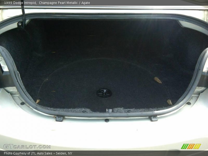 Champagne Pearl Metallic / Agate 1999 Dodge Intrepid