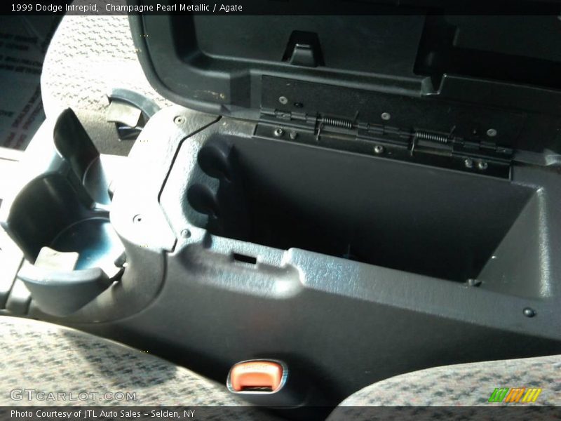 Champagne Pearl Metallic / Agate 1999 Dodge Intrepid