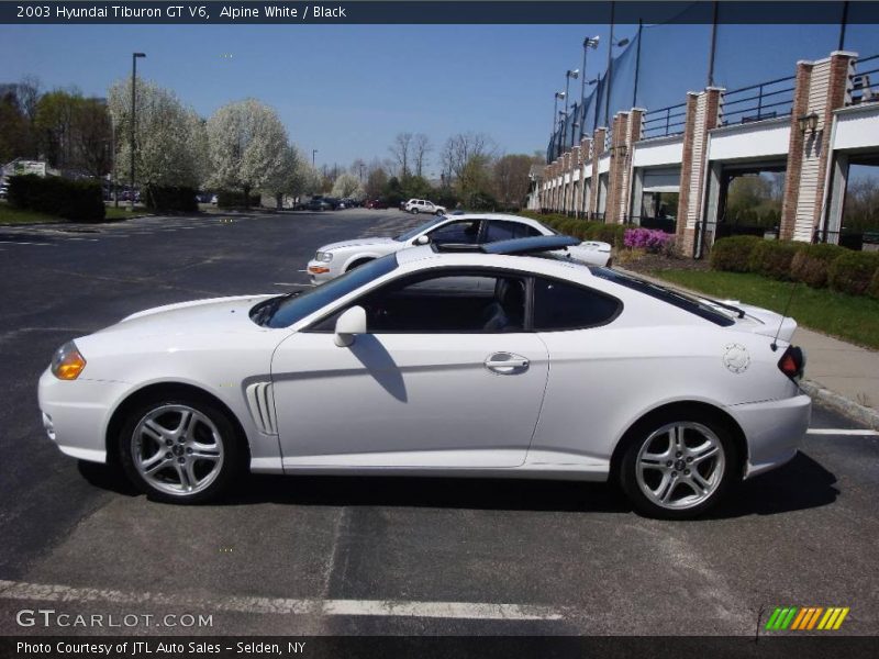 Alpine White / Black 2003 Hyundai Tiburon GT V6