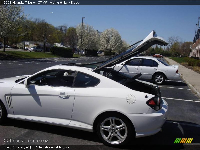 Alpine White / Black 2003 Hyundai Tiburon GT V6