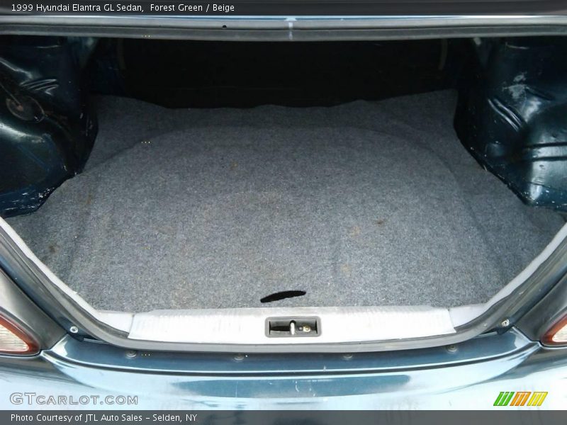Forest Green / Beige 1999 Hyundai Elantra GL Sedan