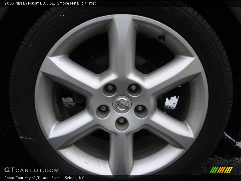 Smoke Metallic / Frost 2005 Nissan Maxima 3.5 SE