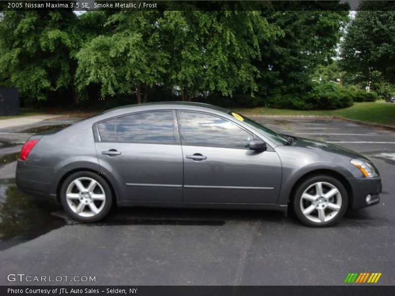 Smoke Metallic / Frost 2005 Nissan Maxima 3.5 SE
