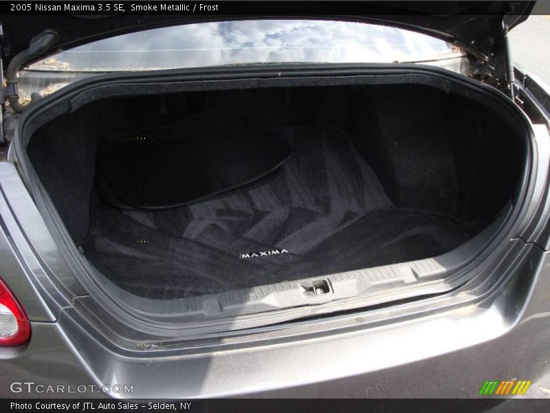 Smoke Metallic / Frost 2005 Nissan Maxima 3.5 SE