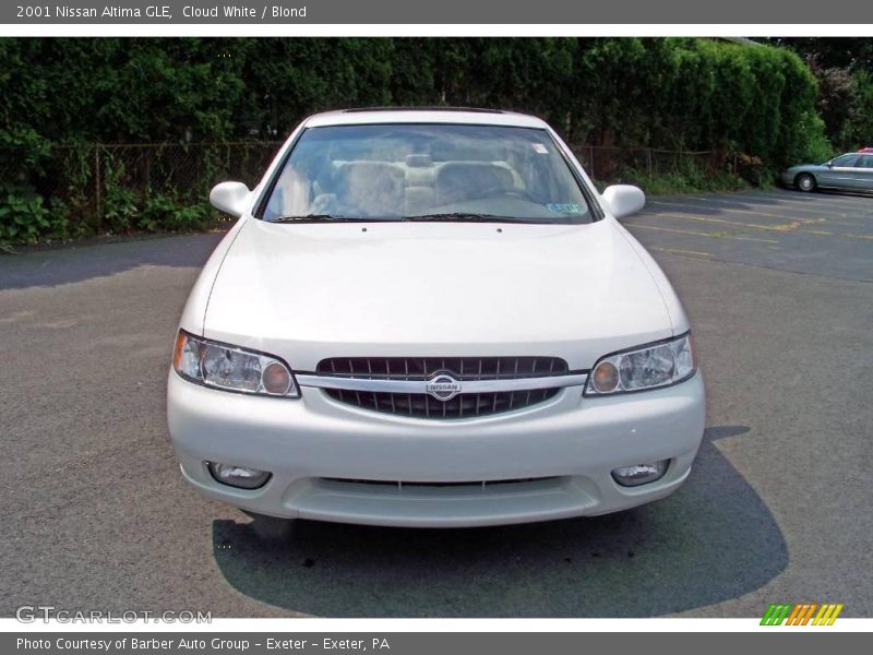 Cloud White / Blond 2001 Nissan Altima GLE