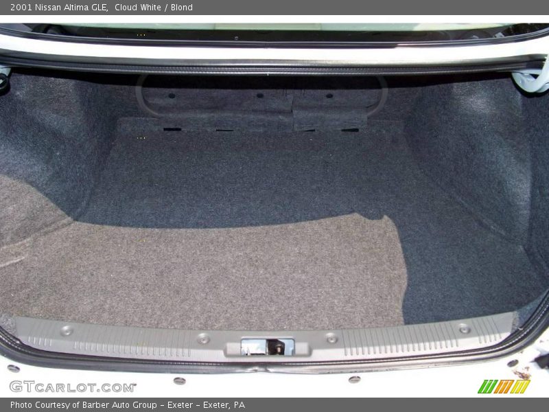 Cloud White / Blond 2001 Nissan Altima GLE