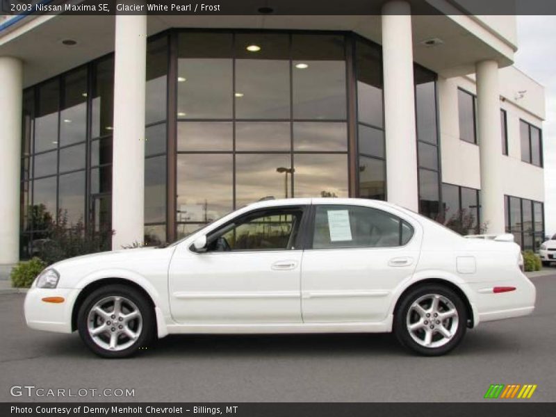 Glacier White Pearl / Frost 2003 Nissan Maxima SE