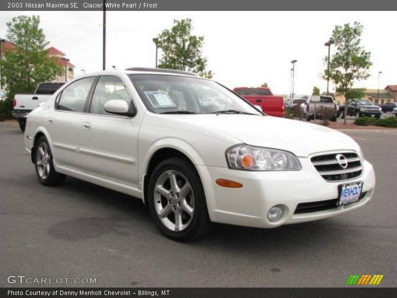 Glacier White Pearl / Frost 2003 Nissan Maxima SE