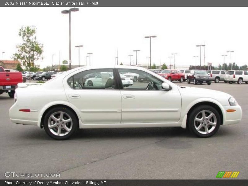 Glacier White Pearl / Frost 2003 Nissan Maxima SE