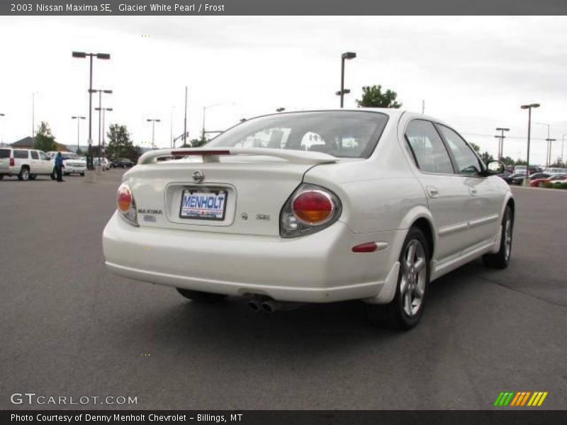 Glacier White Pearl / Frost 2003 Nissan Maxima SE
