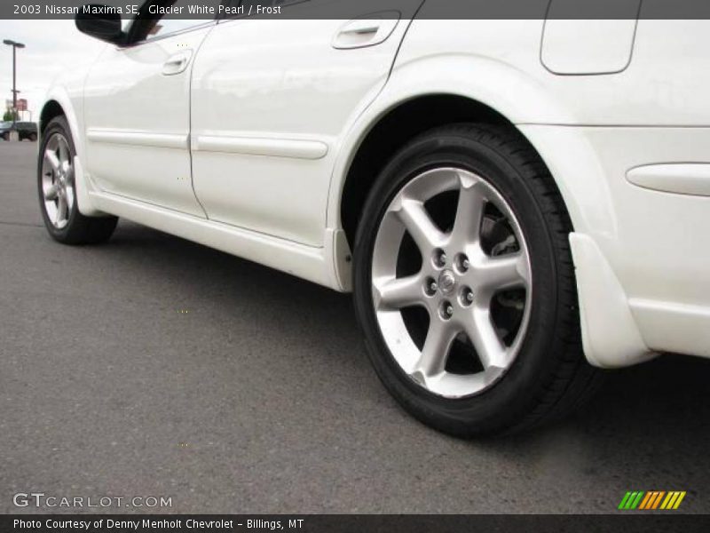 Glacier White Pearl / Frost 2003 Nissan Maxima SE