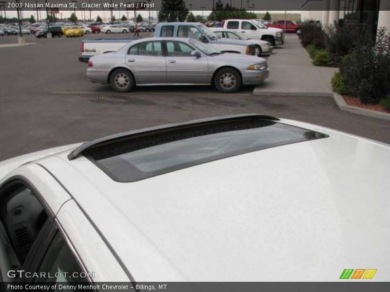 Glacier White Pearl / Frost 2003 Nissan Maxima SE