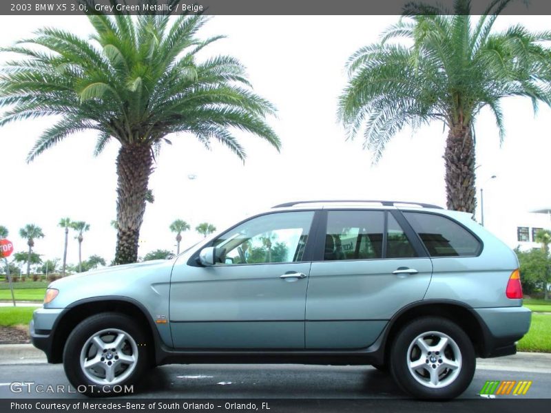 Grey Green Metallic / Beige 2003 BMW X5 3.0i