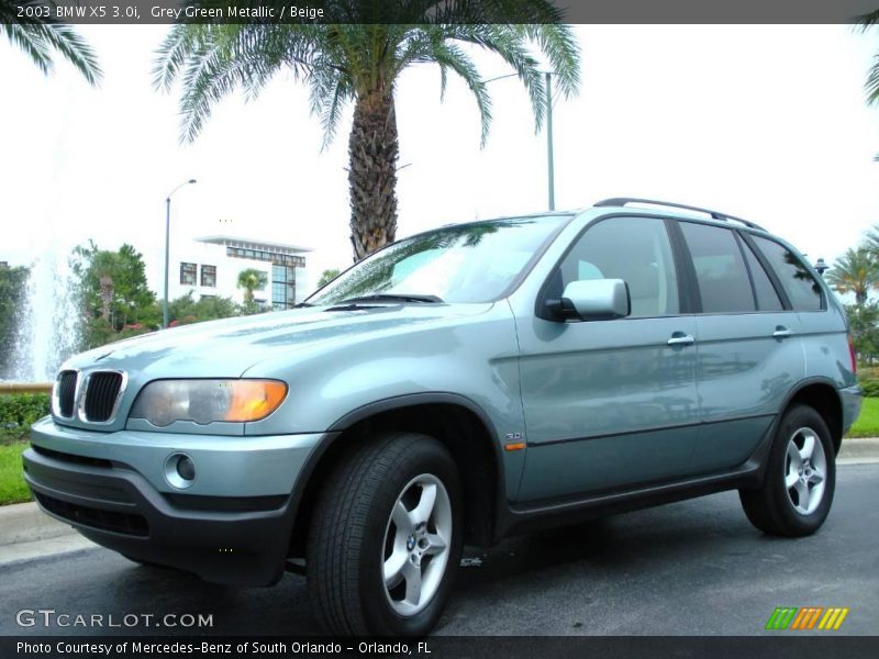 Grey Green Metallic / Beige 2003 BMW X5 3.0i
