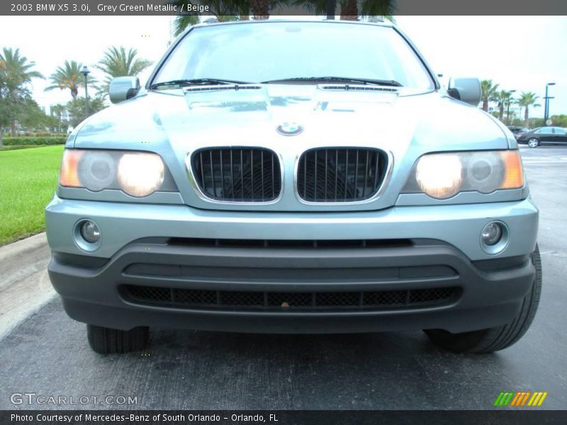 Grey Green Metallic / Beige 2003 BMW X5 3.0i