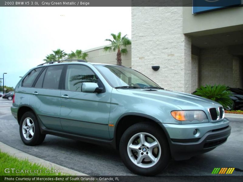 Grey Green Metallic / Beige 2003 BMW X5 3.0i