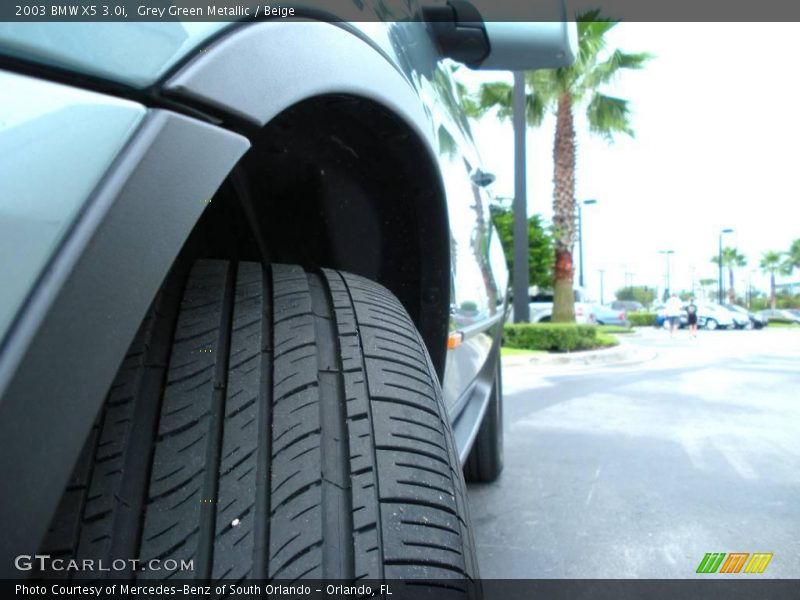 Grey Green Metallic / Beige 2003 BMW X5 3.0i