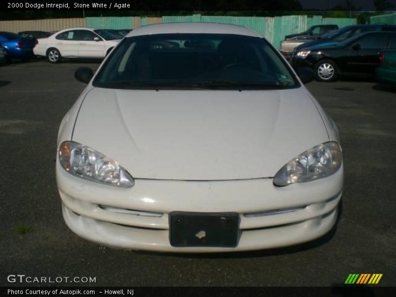 Stone White / Agate 2000 Dodge Intrepid