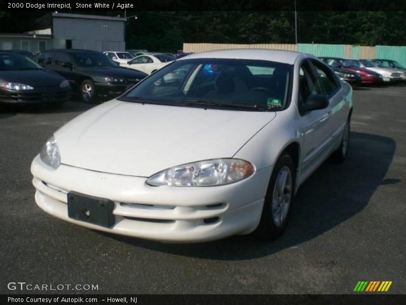 Stone White / Agate 2000 Dodge Intrepid