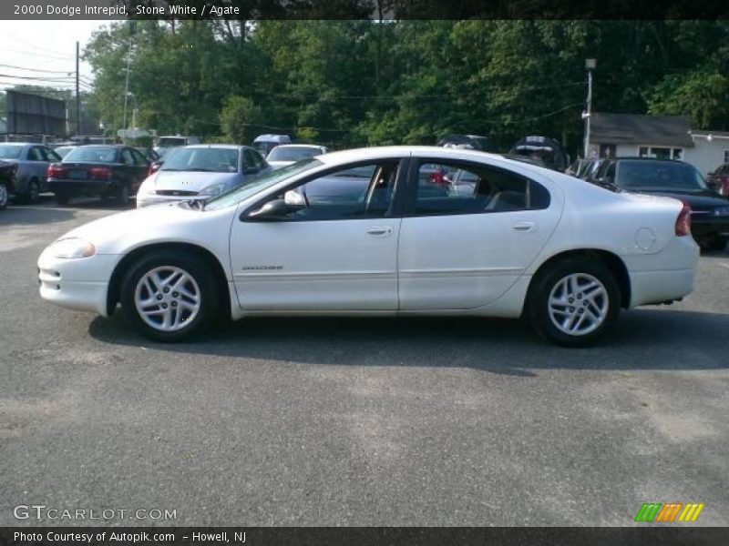 Stone White / Agate 2000 Dodge Intrepid