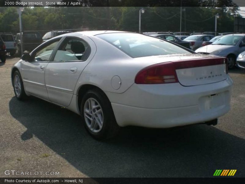 Stone White / Agate 2000 Dodge Intrepid