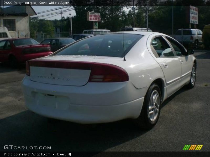 Stone White / Agate 2000 Dodge Intrepid
