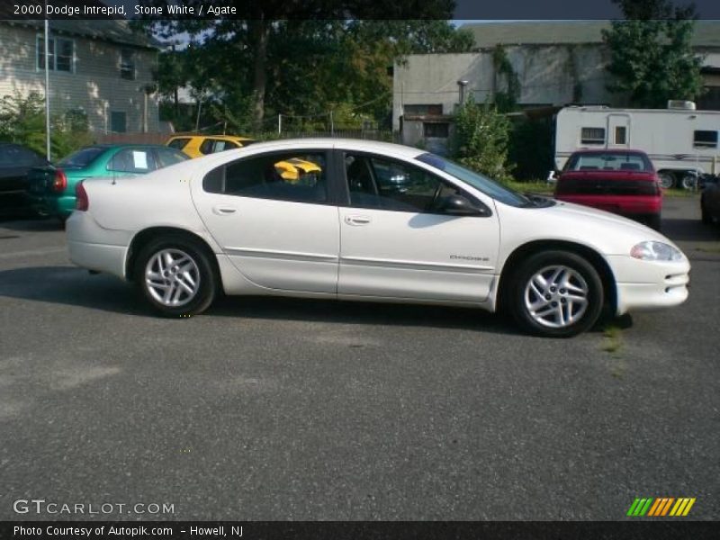 Stone White / Agate 2000 Dodge Intrepid