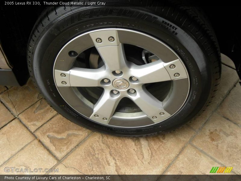 Thunder Cloud Metallic / Light Gray 2005 Lexus RX 330